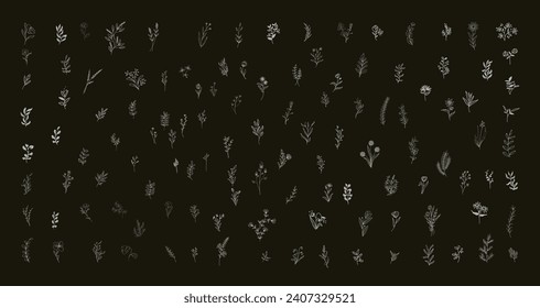 Minimal feminine botanical floral branch in silhouette style. Hand drawn wedding herb, minimalistic flowers with elegant leaves. Botanical rustic trendy greenery vector