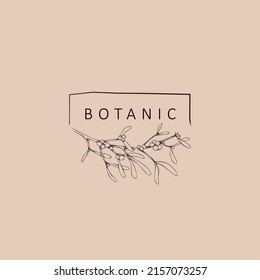 Minimal feminine floral monogram and logo. Hand drawn wedding herb, elegant leaves. Botanical rustic trendy greenery vector illustration