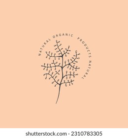 Minimal feminine floral monogram and logo. Hand drawn wedding herb, elegant leaves. Botanical rustic trendy greenery vector