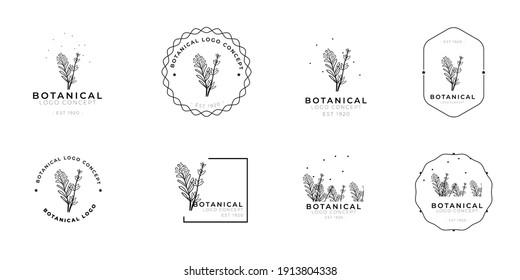 Minimal feminine modern botanical floral organic natural abstract thyme and rosemary classical floral logo design