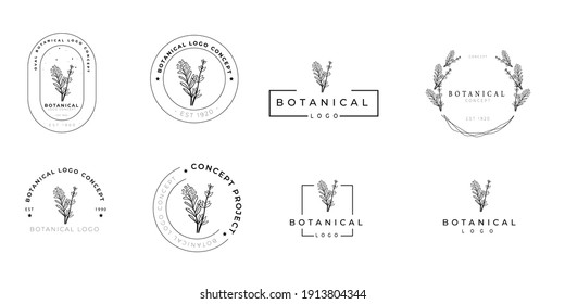 Minimal feminine modern botanical floral organic natural abstract thyme and rosemary classical floral logo design