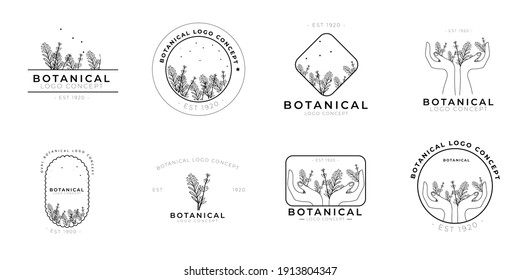 Minimal feminine modern botanical floral organic natural abstract thyme and rosemary classical floral logo design