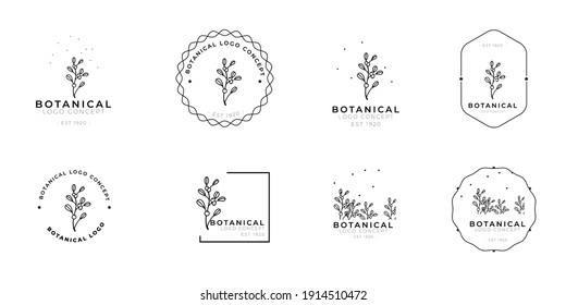 Minimal Feminine Modern Botanical Floral Organic Natural Abstract Mistletoe Classical Floral Logo Design