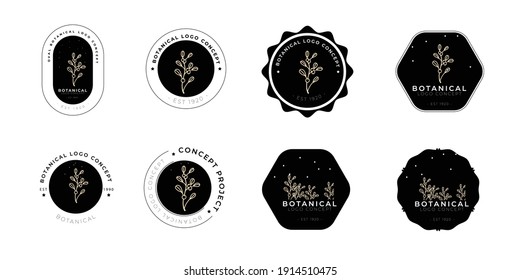 Minimal feminine modern botanical floral organic natural abstract mistletoe classical floral logo design
