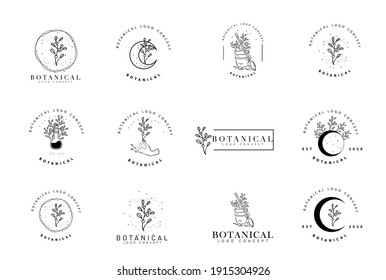 Minimal feminine modern botanical floral organic natural abstract classical floral logo design