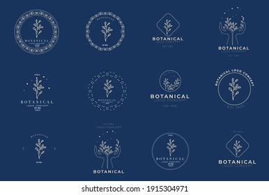 Minimal feminine modern botanical floral organic natural abstract classical floral logo design