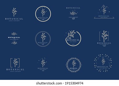 Minimal feminine modern botanical floral organic natural abstract classical floral logo design