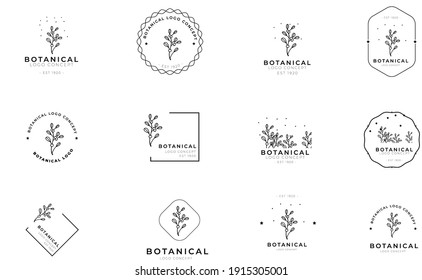 Minimal feminine modern botanical floral organic natural abstract classical floral logo design