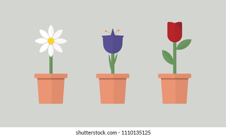 Minimal Flat Design: Flower Variations, Daisy, Blue Bell and Rose Illustration