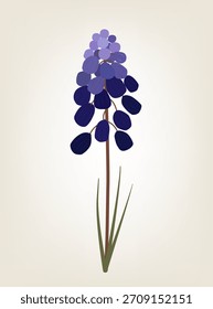 Minimal flat grape hyacinth Muscari flower illustration in deep purple with brown stem on beige background. Stylish botanical vector for spring posters, greeting cards, wedding stationery, packaging.