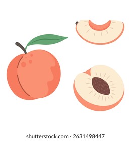 Minimal flat peach fruit collection on white background. Fresh whole, half and sliced peach vector design for healthy food posters, cards, and prints.