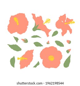 Minimal flat pink hibiscus flowers and leaves set isolated on white background. Stock vector illustration.