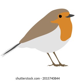 Minimal, flat style, colorful  illustration of a red breast robin bird, standing, with transparent background.