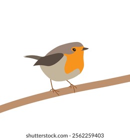 Minimal, flat style, colorful illustration of a red breast robin bird, standing