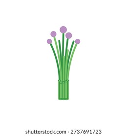 Minimal Flat Vector Icon of Chives Bunch with Purple Flower Heads on White Background