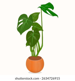 Illustration numérique minimale à plat d'une plante monstera avec de grandes feuilles vertes fendues, placée dans un pot en céramique orange vif. Son design moderne et ses couleurs vives en font un produit idéal.