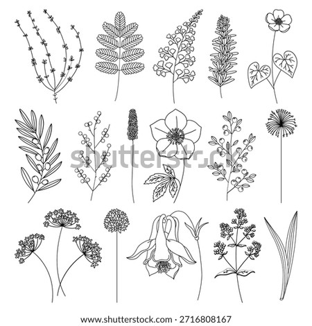 Minimal Flower and Branch Line Art Set Black and White Botanical Vector Illustration	
