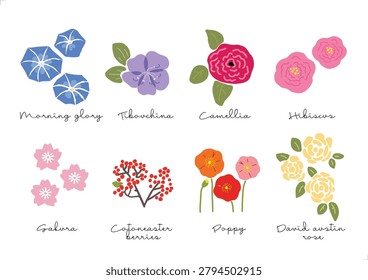 Minimal flower bundle set, Morning glory, Tibouchina, Camellia, Hibiscus, Sakura, Cotoneaster berries, Poppy, David Austin rose