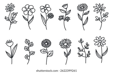 minimal flower line drawing botanical floral illustration set