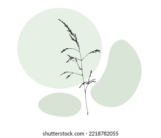 Minimal flower on the blue background of geometric shapes. Modern black and white illustration. Elegant continuous line drawing flower