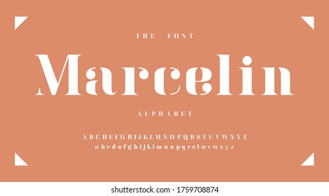 Minimal fonts and alphabet, typeface, typo, typography and number, uppercase lowercase. with orange background. Vector illustration.
