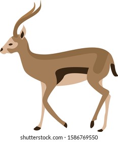 Minimal gazelle vector. African animals illustration. 