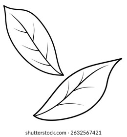 Minimal Green Leaf outline Illustration. Simple Botanical Leaf Drawing