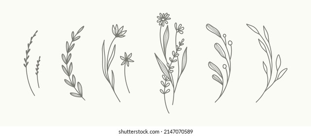 Minimal hand drawn floral botanical art  Trendy elements wild   garden plants  branches  leaves  flowers  herbs  Vector illustration for logo tattoo  invitation save the date card