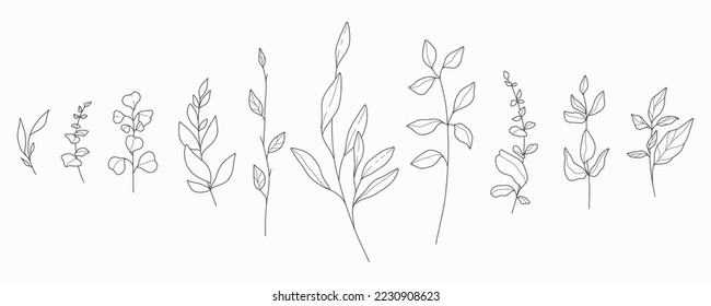 Minimal hand drawn floral botanical art in line style. Trendy elements of wild and garden plants, branches, leaves, flowers, herbs.Vector illustration for logo or tattoo, invitation save the date card