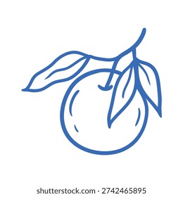 Minimal hand drawn mandarin with leaves. Vector illustration in line style. 