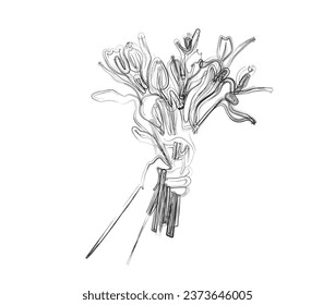 Minimal hand holding bouquet of flowers. illustration. Simple bouquet of flowers in stylized ink brush drawing vector design.