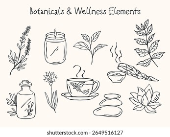 Conjunto de vetores de contorno desenhado à mão mínimo de elementos botânicos e de bem-estar. Inclui ramo de lavanda, folhas sábias, flor de lótus, xícara de chá, óleos essenciais e pedras de massagem. Limpar arte de linha