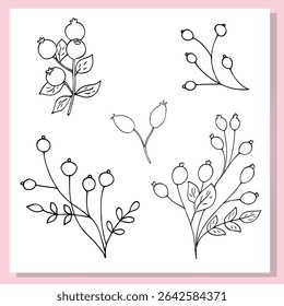 Minimal hand-drawn rosehip set featuring linear berry branches. Elegant botanical collection perfect for natural-themed designs, logos, packaging, and DIY craft projects.