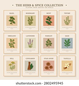 Minimal herb and spice poster collection featuring basil, rosemary, mint, thyme, oregano, lavender, parsley, sage, dill, cinnamon, star anise, and vanilla. Elegant botanical kitchen wall art with clean typography, soft neutral colors, and detailed natural illustrations. Perfect for printable wall decor, kitchens, cafes, restaurants, culinary spaces, Scandinavian home decor, farmhouse interiors, and modern botanical poster collections.