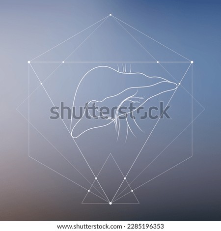 Minimal human liver and gastrointestinal system illustration on gradient. Human liver anatomy. Futuristic medical scientific vector clipart.