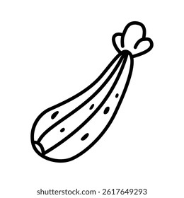 Minimal Icon Set of Zucchini Squash for Vegan Recipes and Fresh Summer Cooking