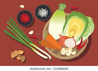 Minimal Illustration Of Kimchi Ingredients