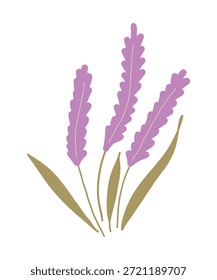 Elemento floral de lavanda mínimo sobre fundo branco