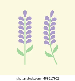Minimal lavender with leafs isolated on background. Lavender icon or logo. Vector illustration. Abstract flowers in flat style. Lavender flower