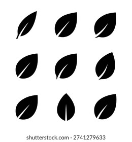 Minimal leaf icon collection isolated on white background.