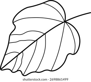 Minimal leaf outline icon, simple eco nature line drawing, environmental and botanical vector design