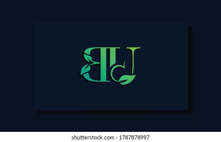 Minimal leaf style Initial BU logo. It will be suitable for ECO, green, nature, Farming, environment, growth and herbal related Brand or company.