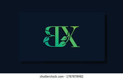 Minimal leaf style Initial BX logo. It will be suitable for ECO, green, nature, Farming, environment, growth and herbal related Brand or company.