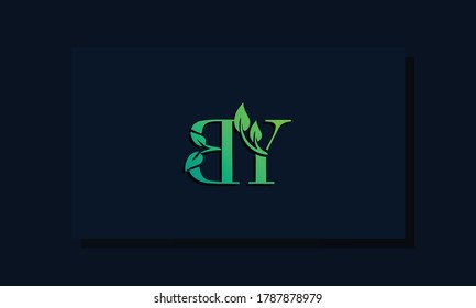 Minimal leaf style Initial BY logo. It will be suitable for ECO, green, nature, Farming, environment, growth and herbal related Brand or company.