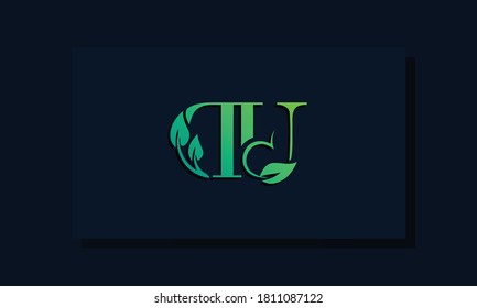 Minimal leaf style Initial DU logo. This logo incorporate with leaf and two letter in the creative way. It will be suitable for ECO, green, nature, growth and herbal related Brand or company.