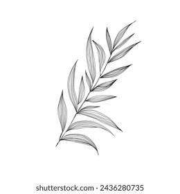 Hinterlässt schwarze Linien auf weißem Hintergrund. In: Palms Vector Illustration.