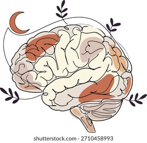 Arte de línea mínima del cerebro humano con la luna y los acentos botánicos