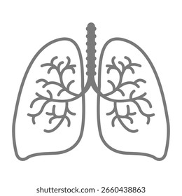Minimal line art icon of human lungs with bronchial structure. Simple anatomical illustration for medical, healthcare, respiratory, or educational projects.