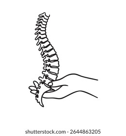 Ilustração de arte de linha mínima de uma mão humana segurando uma espinha. Conceito de cuidados quiropráticos, saúde espinhal, fisioterapia, ortopedia e terapia manual. Design simples e limpo para medicina, anatomia