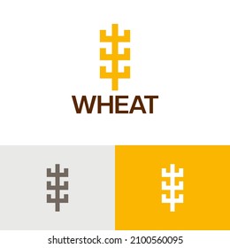 Minimal lined wheat logo design vector concept. Farm logomark illustration. Can representing agriculture ,grain, bread, plant, vegan, food, harvest, health, cereal.